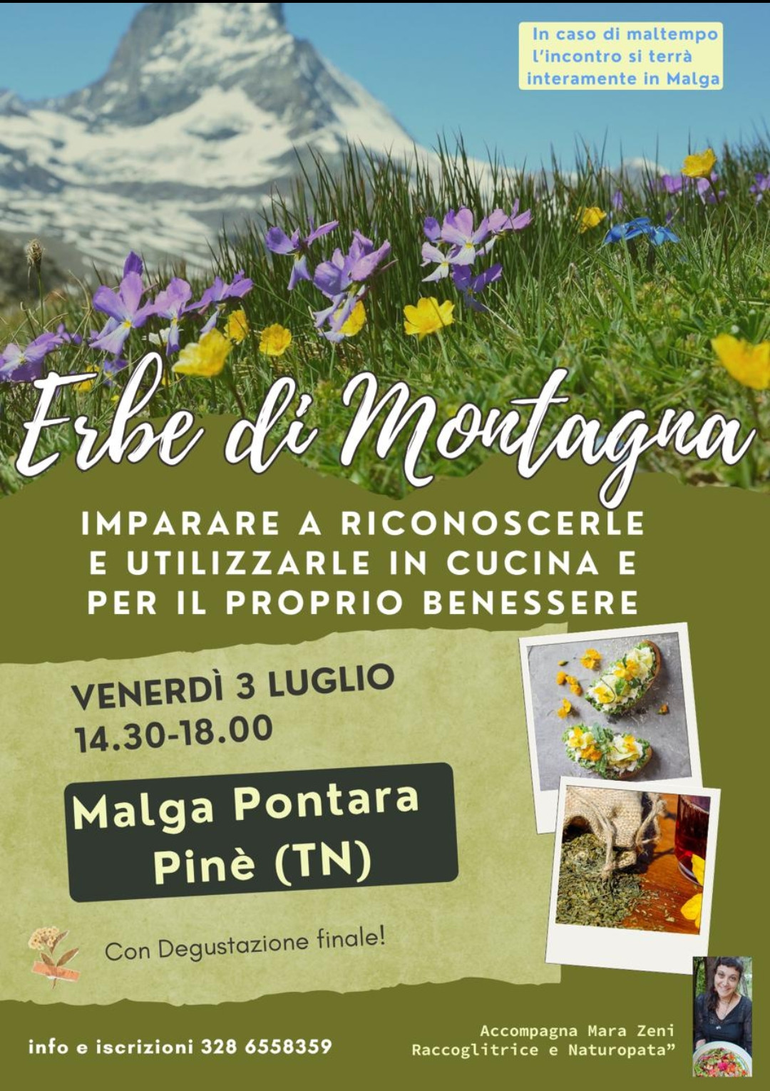 Erbe di montagna