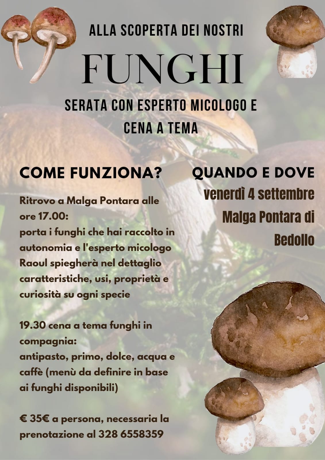 Mostra micologica